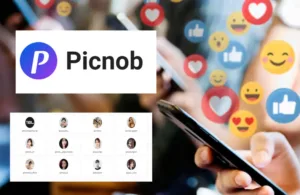 what is picnob
